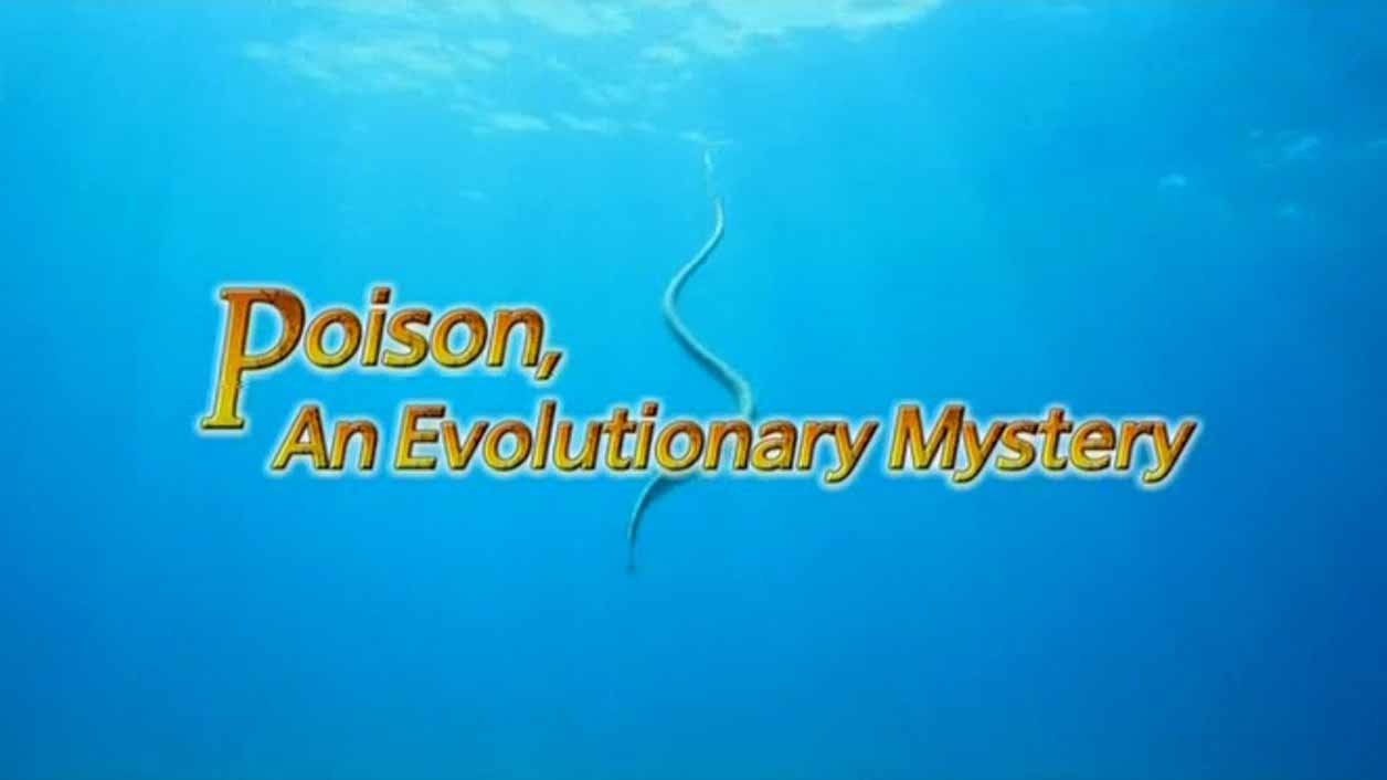 Яд. Достижение эволюции 1 серия. Яд и стратегия выживания / Poison, an evolutionary mystery (2015)