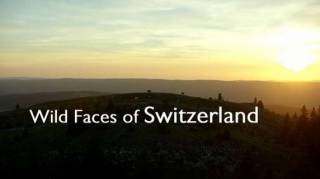 Дикая Швейцария 1 серия / Wild Faces of Switzerland (2018)