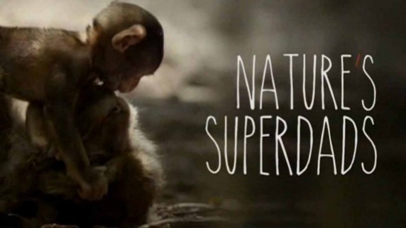 Лучшие Папы в природе / Nature's Superdads (2015)