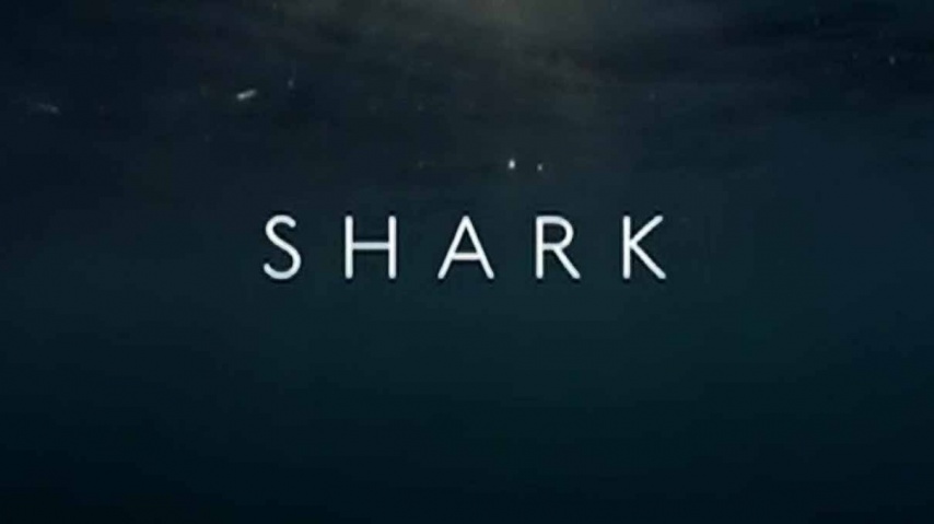 Вся правда об акулах 1 серия / Shark (2015)