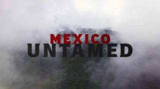 Непокорная Мексика 1 серия. Охота и выслеживание / Mexico Untamed (2018)
