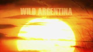 Дикая природа Аргентины. Безжалостные горы / Wild Argentina. Mountains of Extremes (2017)
