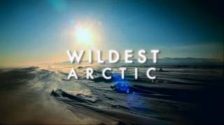Дикая Арктика 3 серия. Северный Ледовитый океан. Замерзшее царство / Wildest Arctic (2012)