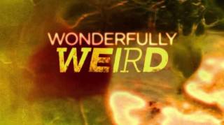 Мир необычного и странного 4 серия. Необычные уродцы / Wonderfully Weird (2016)
