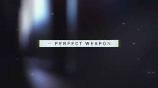 Идеальное оружие / The Perfect Weapon (2020)