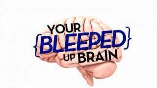Наш удивительный мозг 1 серия. Зрительный обман / Your Bleeped Up Brain (2013)