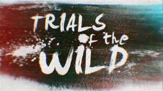 Испытания в дикой природе 9 серия. Бойцы, рожденные на воле / Trials of the Wild (2018)