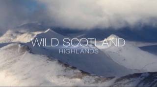 Дикая Шотландия 2 сезон 1 серия. Весна / Wild Scotland (2016)