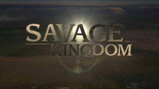 Дикое королевство: Восстание 1 серия. Мать львов / Savage Kingdom (2016)