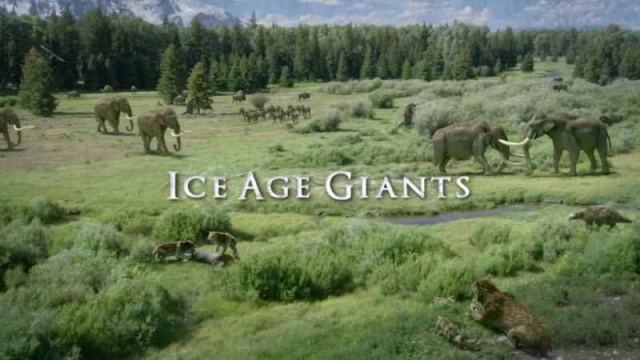 Гиганты ледникового периода 1 серия. Край саблезубых тигров / Ice Age Giants (2013)