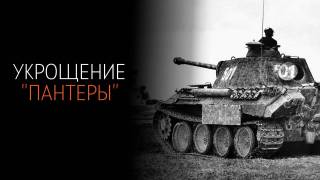 Укрощение Пантеры все серии 10.05.2025