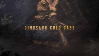 Нераскрытое дело динозавра / Dinosaur Cold Case (2020)