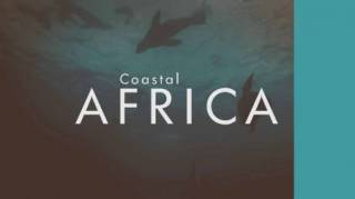 Берега Африки 4 серия. Залив Алгоа: последнее прибежище африканского пингвина (2016)