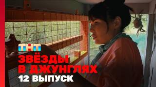 Звёзды в джунглях 2 сезон 12 выпуск 14.12.2025