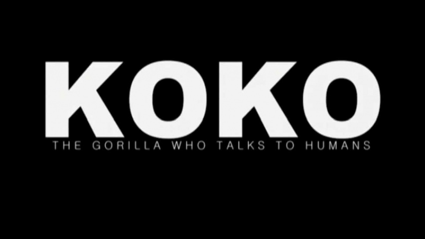 Коко. Горилла, говорящая с людьми / Koko: The Gorilla Who Talks to People (2016)