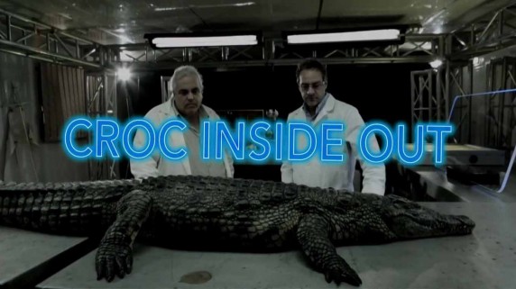Секреты крокодила / Croc Inside Out (2015)
