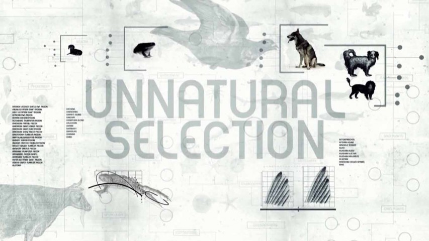 Неестественный отбор / Unnatürliche Selektion (2013)