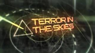 Ужас в небесах. Ошибка пилота / Terror in the Skies (2013)