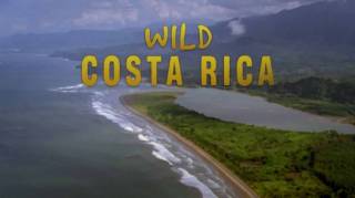 Дикая Коста-Рика / Wild Costa Rica (2000)