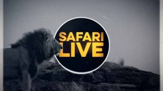 Сафари в прямом эфире: Миграция 1 серия / Safari Life (2019)