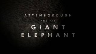 Аттенборо и Гигантский Слон / Attenborough and the Giant Elephant (2017)