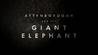 Аттенборо и Гигантский Слон / Attenborough and the Giant Elephant (2017)