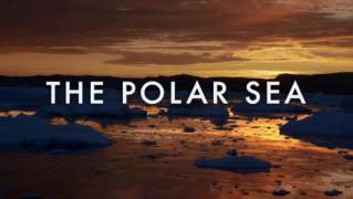 Полярные воды 10 серия / The Polar Sea (2018)