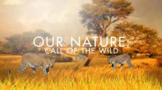 Жизнь на экваторе / Our Nature: Call of the Wild (2020)