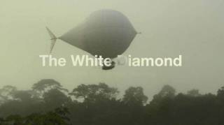 Белый бриллиант / The White Diamond (2004)