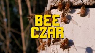Пчелиный король (все серии) / Bee Czar (2022)