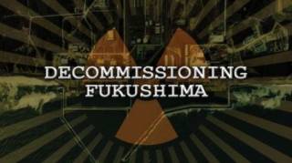 Последствия аварии на Фукусиме: как сдержать радиацию (2014)