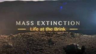 Массовые вымирания - жизнь на грани / Mass Extinction: Life at the Brink (2014)