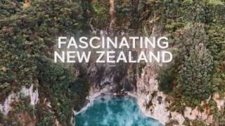 Дикая Новая Зеландия 1 серия. Сокровища Южного Острова / Fascinating New Zealand (2019)
