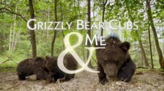 Бурые медвежата и я 1 серия / Grizzly Bear Cubs and Me (2018)