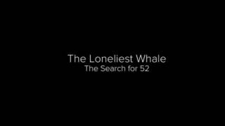 Самый одинокий кит на планете: в поисках Пятидесятидвухгерцового кита (2021)