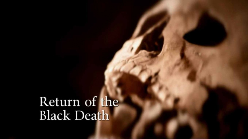 Разоблачение чёрной смерти / Return of the Black Death (2014)