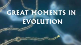 Вехи эволюции 1 серия. Чудо жизни / Great Moments in Evolution (2016)