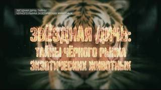 Звездная дичь тайны черного рынка экзотических животных 18.04.2026