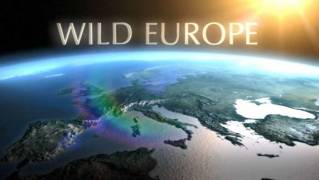 Европа. История континента 2 серия. Ледниковый период / Wild Europe (2005)