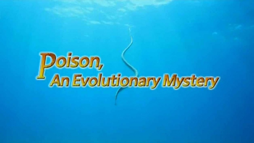 Яд. Достижение эволюции 2 серия. Яд и баланс экосистемы / Poison, an evolutionary mystery (2015)