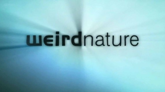 Эти загадочные животные 3 серия. Удивительные способы размножения (2002)