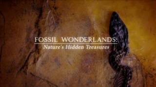 Страна чудесных ископаемых 2 серия. Пернатые динозавры (2014)