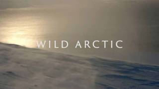Дикая Арктика 1 серия. Острова льда и огня / Wild Arctic (2019)