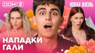 Дома-2 Вечерний эфир 17.06.2026