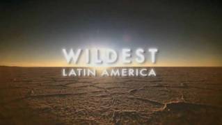 Дикая Латинская Америка 3 серия. Венесуэла. Сокровища Эльдорадо / Wildest Latin America (2012)