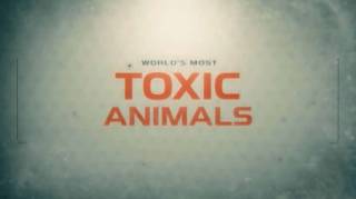 Самые ядовитые животные мира 1 серия. Пустыни и океаны / World's Most Toxic Animals (2021)