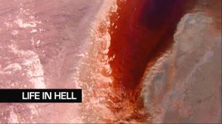 Выживание в аду 3 серия. Выжившие во льдах / Life in Hell (2010)