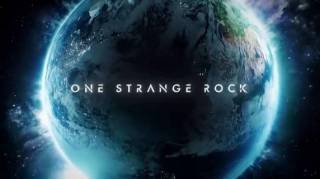 Неизвестная планета Земля 3 серия. Щит / One Strange Rock (2018)