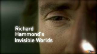 Невидимые миры / Richard Hammond's Invisible Worlds (2010)