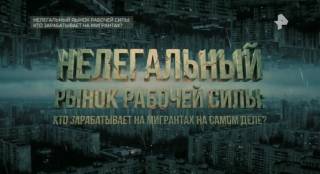 ​Нелегальный рынок рабочей силы кто зарабатывает на мигрантах на самом деле 19.04.2026